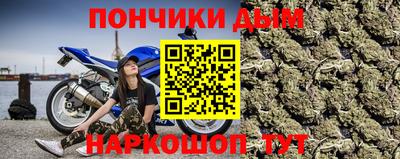 PSILOCYBIN Ярославль