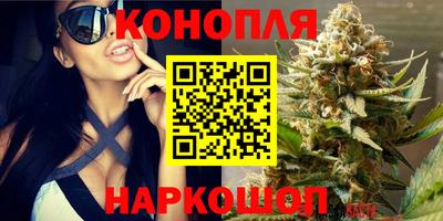 ешки Шелехов